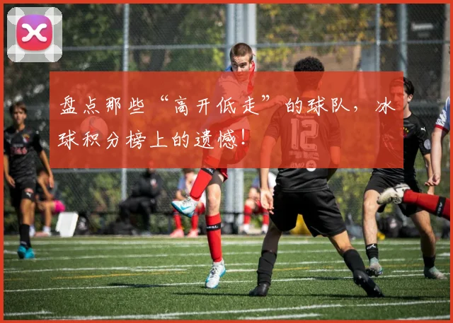 盘点那些“高开低走”的球队,冰球积分榜上的遗憾!